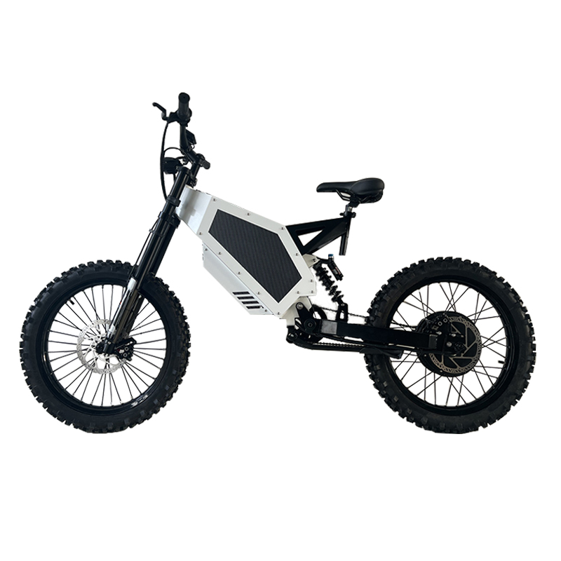 SS60 스텔스 폭격기 전기 자전거, 3000W, 50 - 8000W Stealth Bomber Ebike 리뷰 및 가격
